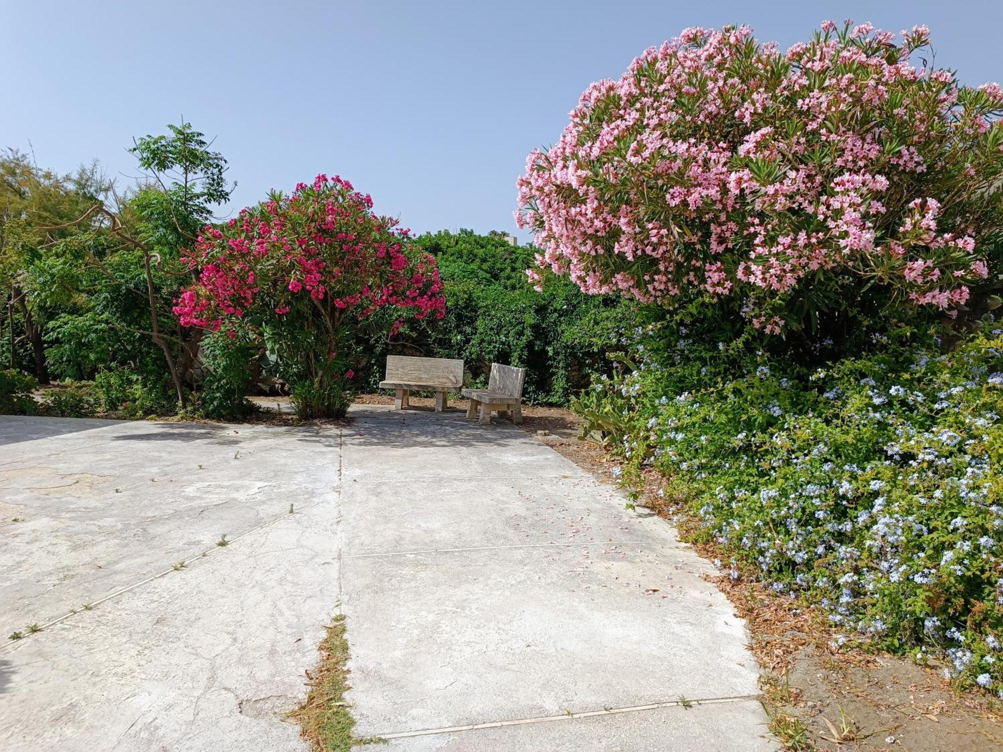 On The Plaia Castellammare del Golfo